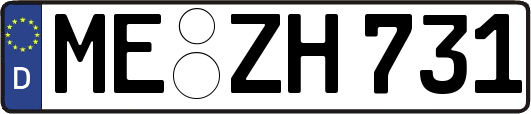 ME-ZH731