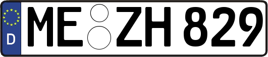 ME-ZH829