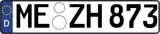 ME-ZH873
