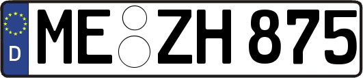 ME-ZH875
