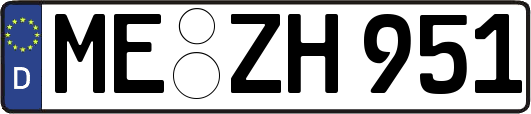 ME-ZH951