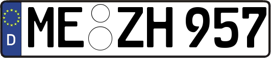 ME-ZH957
