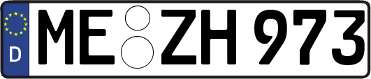 ME-ZH973
