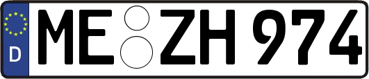 ME-ZH974