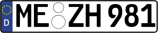 ME-ZH981