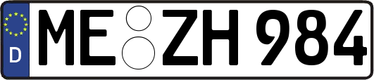 ME-ZH984