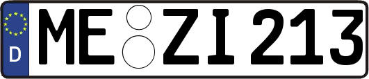 ME-ZI213