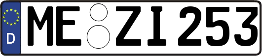 ME-ZI253