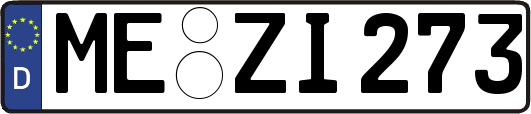 ME-ZI273