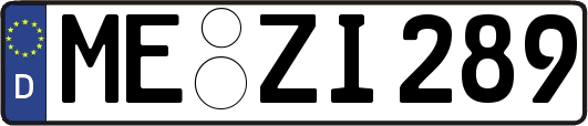 ME-ZI289