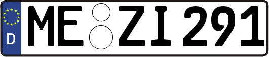 ME-ZI291