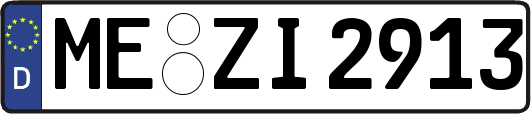 ME-ZI2913