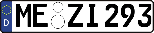 ME-ZI293