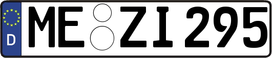 ME-ZI295