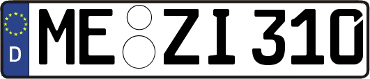 ME-ZI310