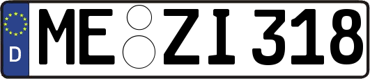 ME-ZI318