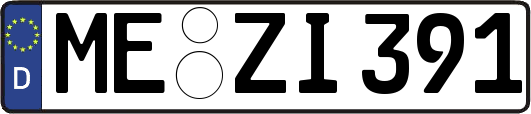 ME-ZI391