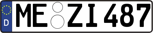 ME-ZI487