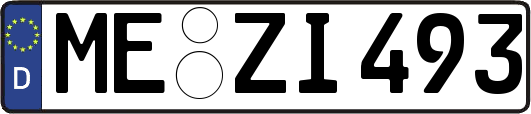 ME-ZI493