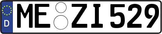 ME-ZI529