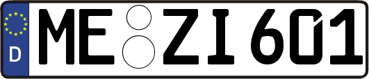 ME-ZI601