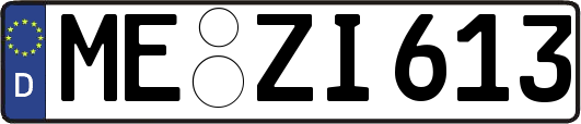 ME-ZI613