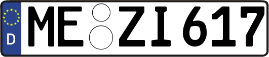 ME-ZI617