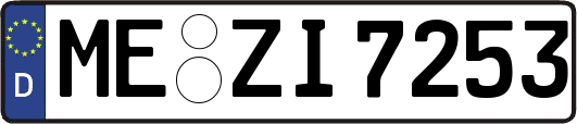 ME-ZI7253