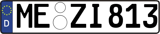 ME-ZI813