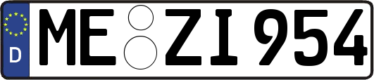 ME-ZI954