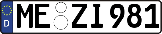 ME-ZI981