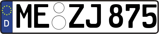 ME-ZJ875