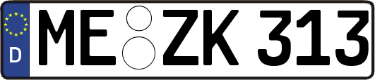 ME-ZK313