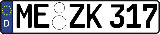 ME-ZK317