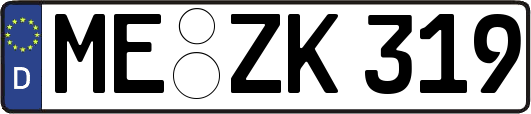 ME-ZK319