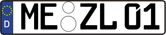 ME-ZL01