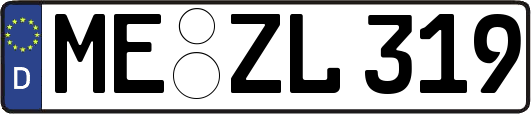 ME-ZL319