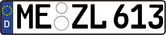 ME-ZL613