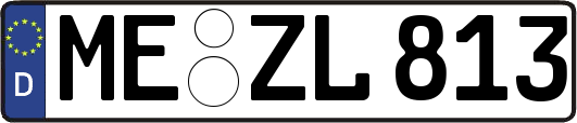 ME-ZL813