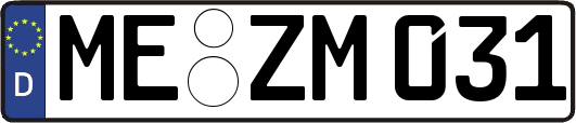 ME-ZM031
