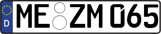 ME-ZM065