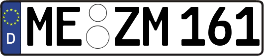ME-ZM161