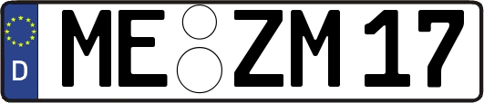 ME-ZM17