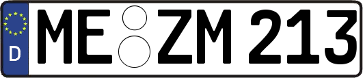 ME-ZM213