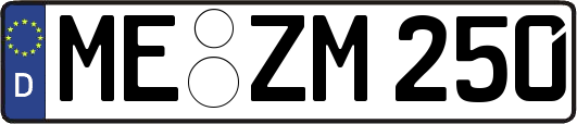 ME-ZM250