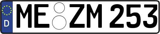 ME-ZM253
