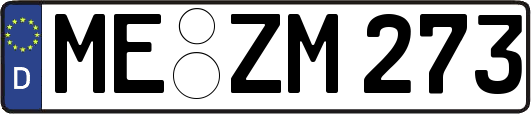 ME-ZM273