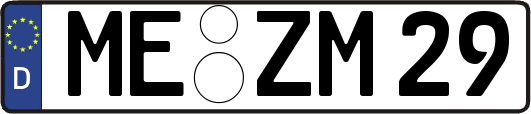 ME-ZM29