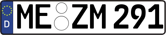 ME-ZM291