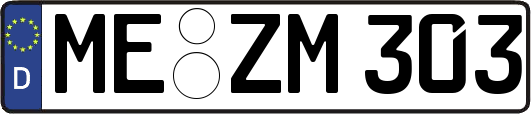 ME-ZM303